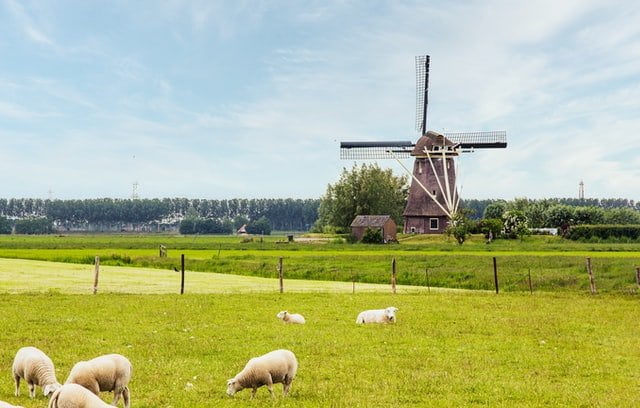 The Netherlands provides appealing options in terms of quality of life, job opportunities, and access to higher education.