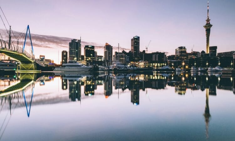 cityscape photo during daytime