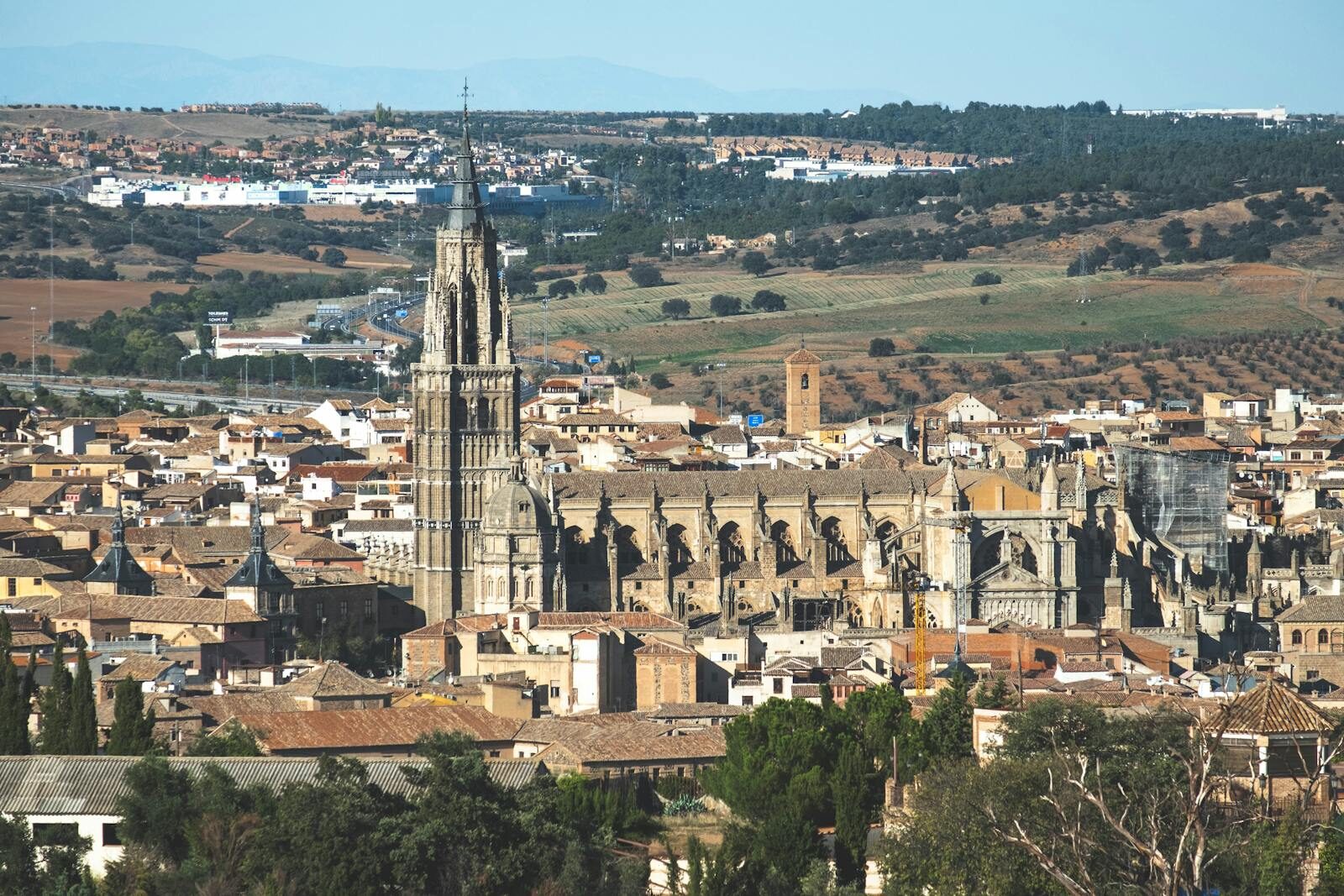 employment law and immigration framework